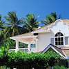 Coral Reef Club 